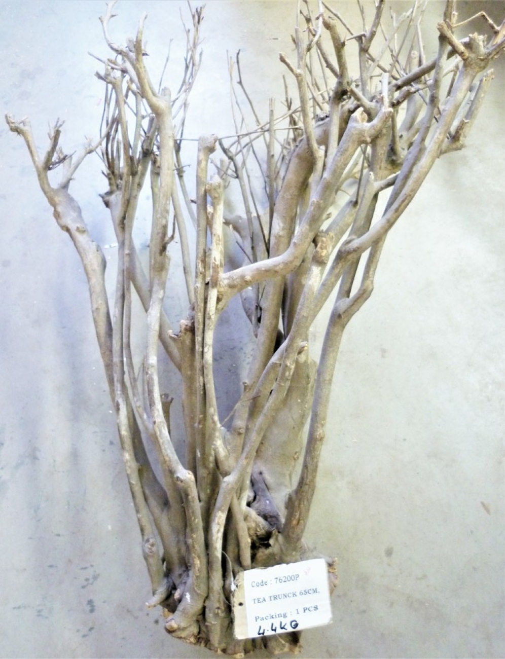 Teebaum Holz ; für Terrarien geeignet
